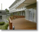 round deck 27.jpg